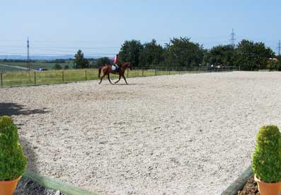 Dressurplatz 20 m x 60 m