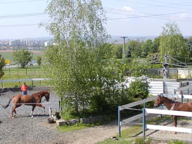 Abgetrennter Longierzirkel mit Allwetterbelag