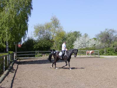 offener Au&szlig;enreitplatz 40 m x 20 m